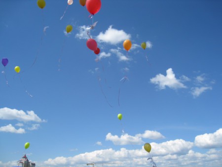 Акция "День белого журавля"